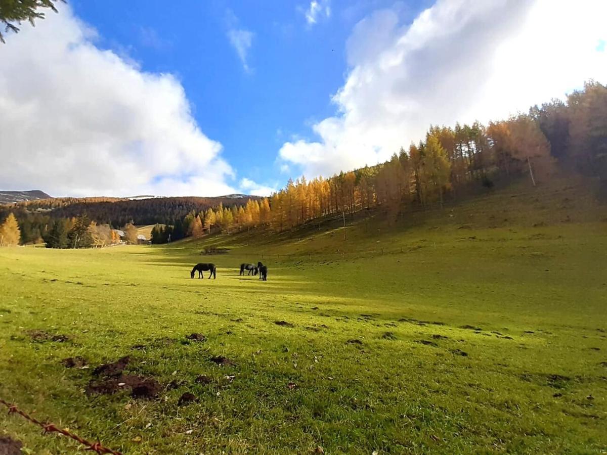 Chalet Verdino Bad Kleinkirchheim Dış mekan fotoğraf