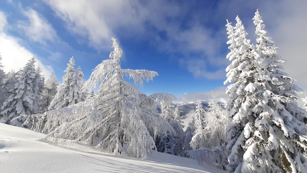 Chalet Verdino Bad Kleinkirchheim Dış mekan fotoğraf