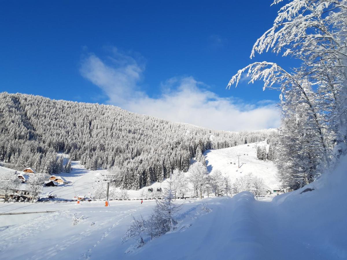 Chalet Verdino Bad Kleinkirchheim Dış mekan fotoğraf
