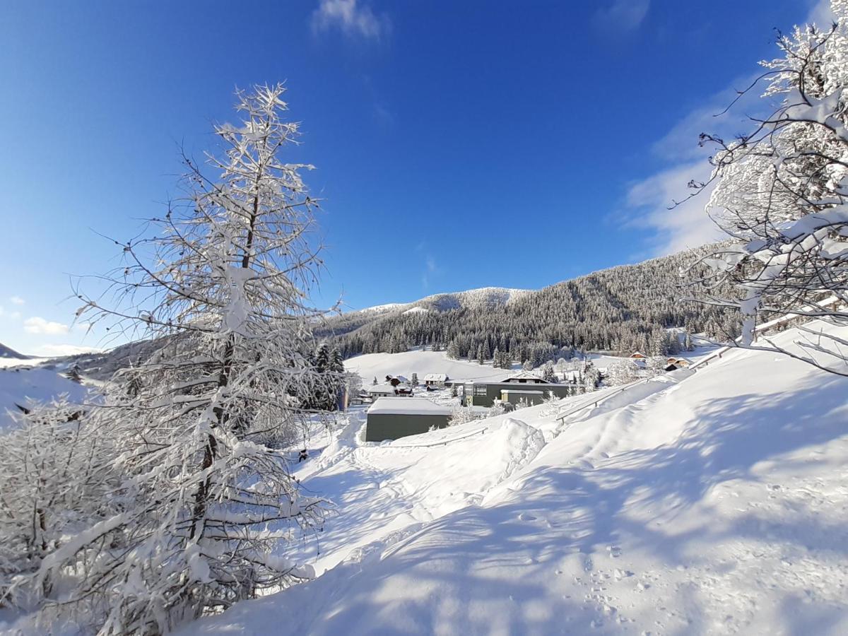 Chalet Verdino Bad Kleinkirchheim Dış mekan fotoğraf