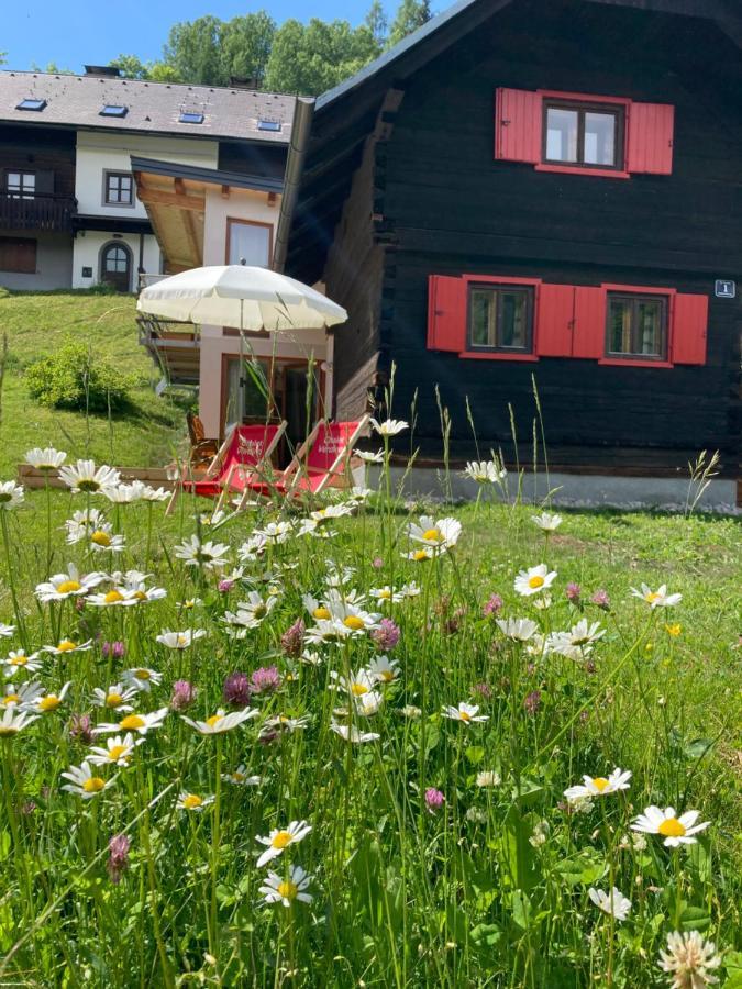 Chalet Verdino Bad Kleinkirchheim Dış mekan fotoğraf